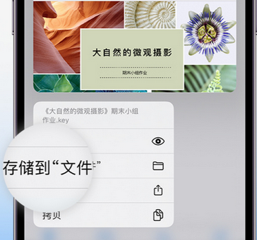 孟津apple维修中心分享iPhone文件应用中存储和找到下载文件