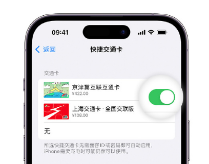 孟津apple维修点分享iPhone上更换Apple Pay快捷交通卡手绘卡面 