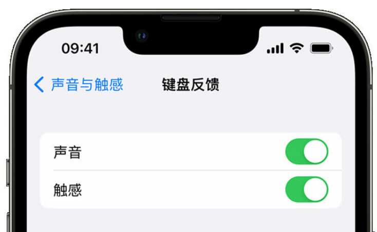 孟津苹果手机维修分享iPhone 14触感键盘使用方法 