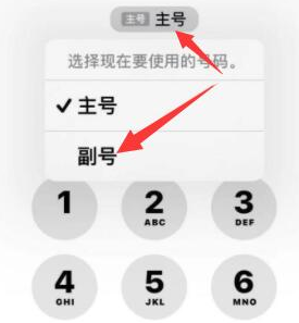 孟津苹果14维修店分享iPhone 14 Pro Max使用副卡打电话的方法 