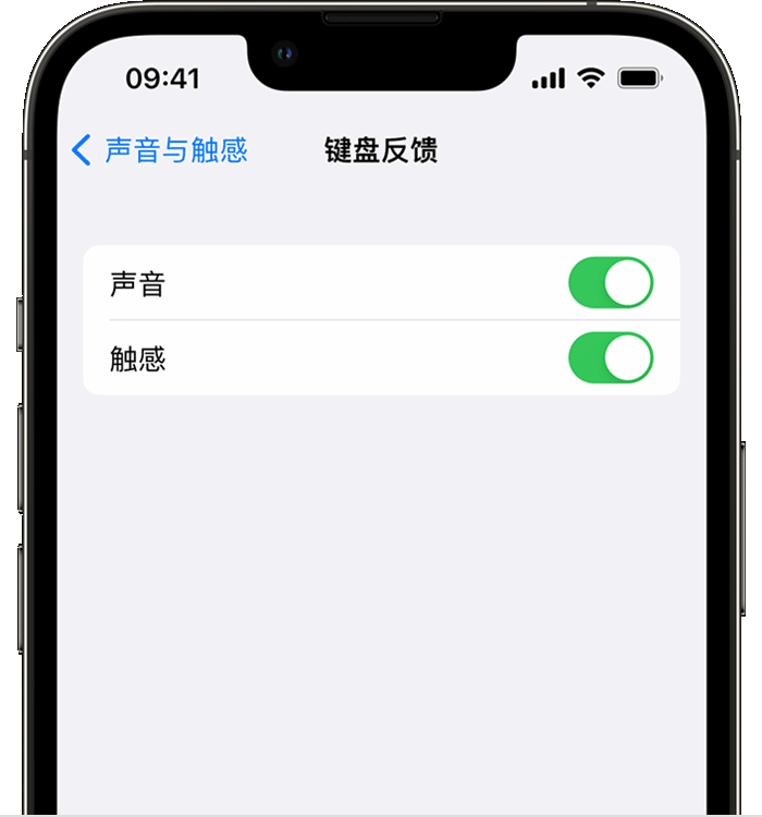 孟津苹果14维修分享iPhone 14 系列机型如何开启键盘声音或触感反馈 