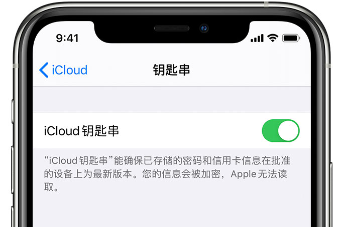 孟津苹果手机维修分享在 iPhone 上开启 iCloud 钥匙串之后会储存哪些信息 