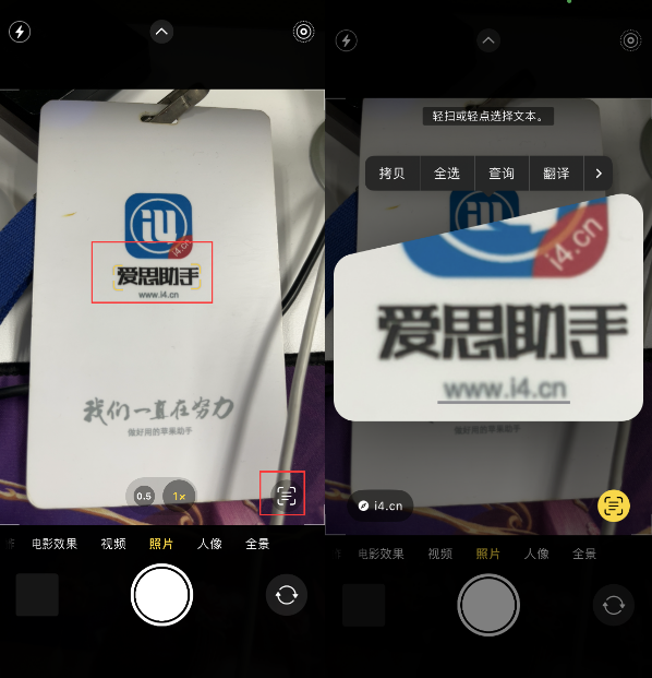 孟津苹果手机维修分享升级iOS 16后如何通过相机翻译文本 