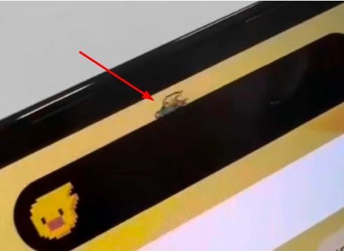 孟津苹果14维修分享iPhone 14 Pro Max灵动岛怎么养宠物 