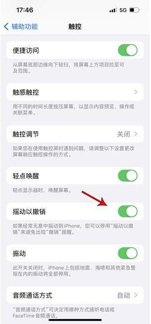 孟津苹果手机维修分享iPhone手机如何设置摇一摇删除文字 