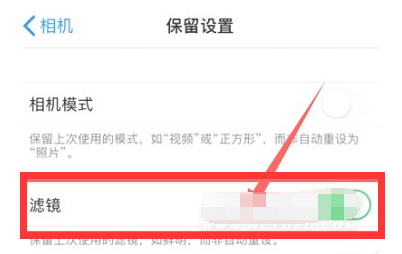 孟津苹果13维修分享iPhone13拍照有绿点是怎么回事 
