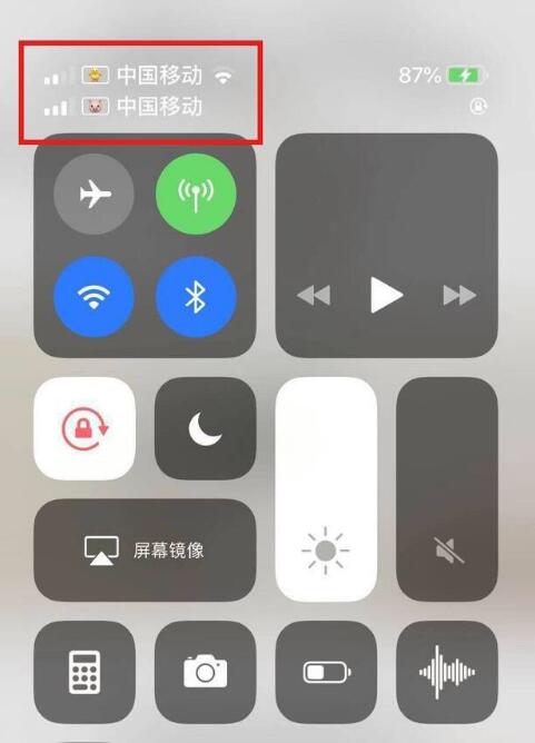 孟津苹果手机维修分享为 iPhone 12 双卡设置标签 